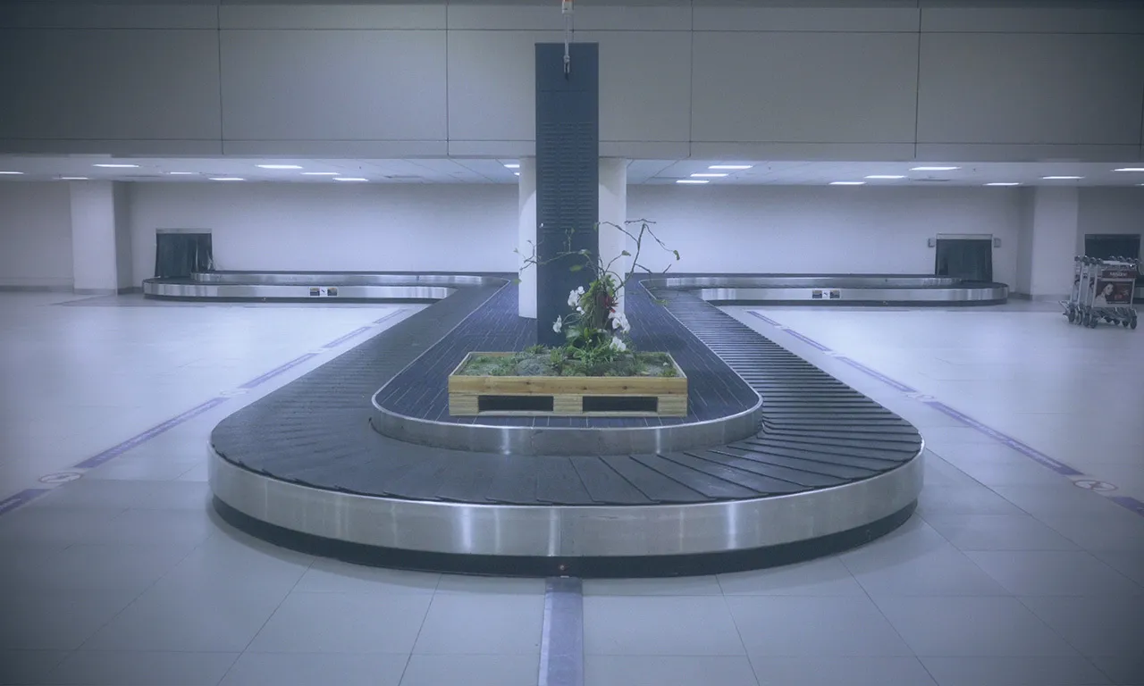 Una cinta transportadora de equipaje vacía con plantas en el centro—un recordatorio de que sorpresas pueden aparecer en cualquier lugar, como en el trading.