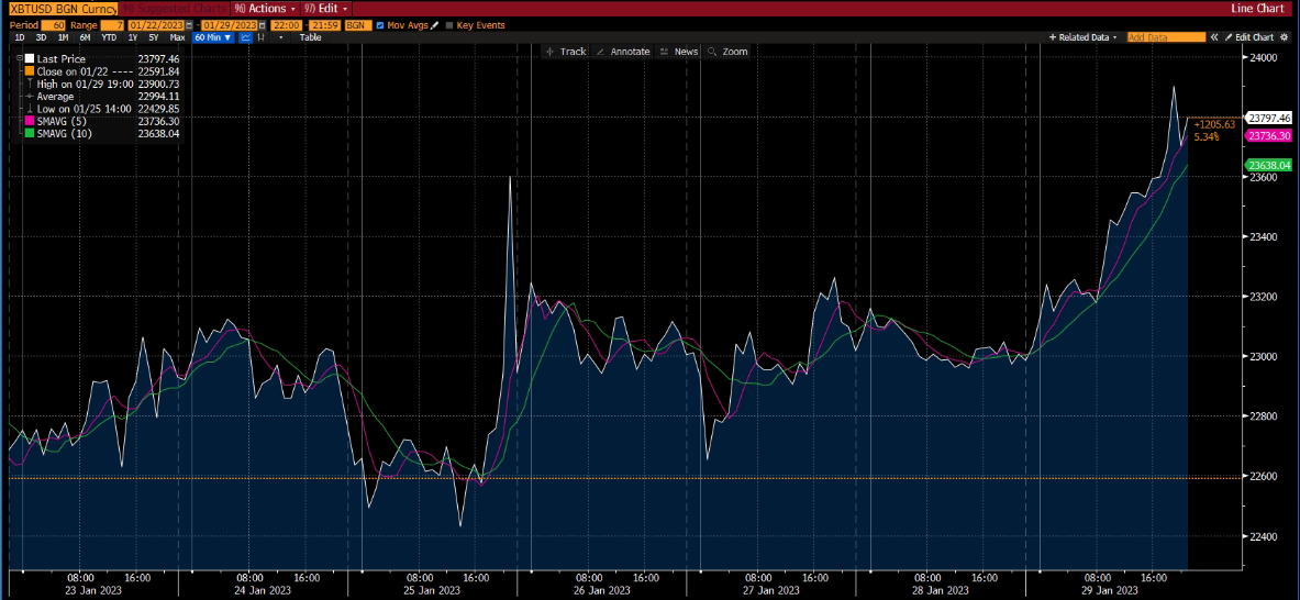 Grafico BTC - rapporto di mercato, Settimana 1 Feb 2023