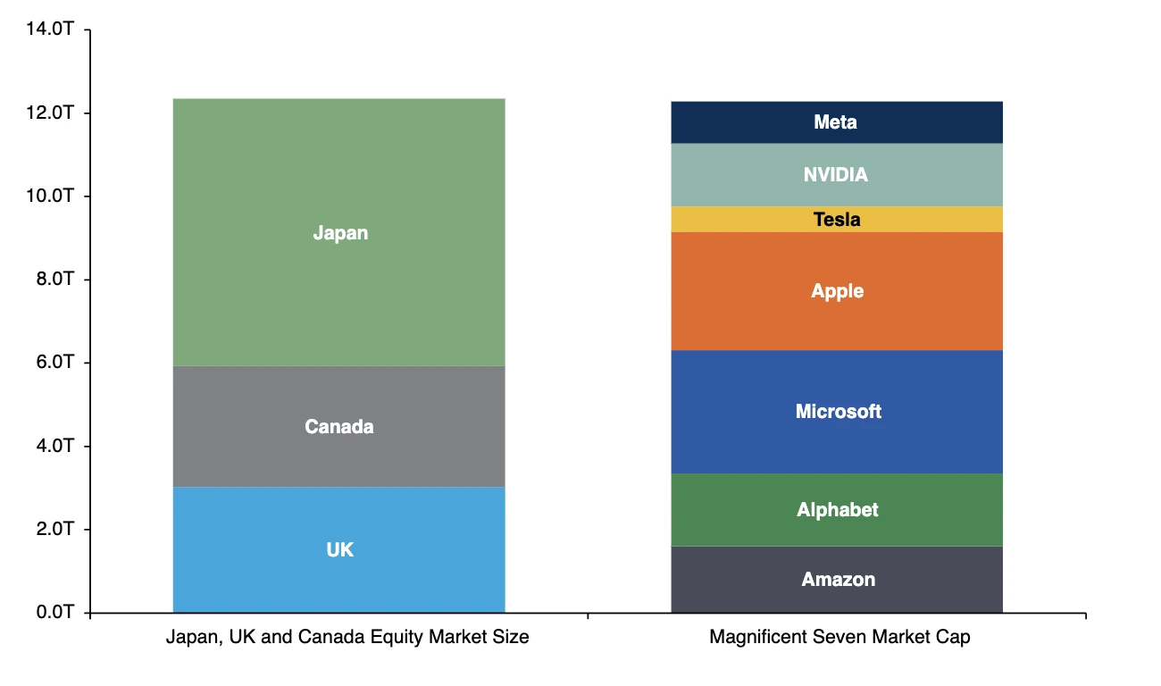 Comparative chart showing the Magnificent 7 stocks - Microsoft, Apple, Amazon, Nvidia, Tesla, Meta, Alphabet - accounting for nearly half of the S&P 500’s gains